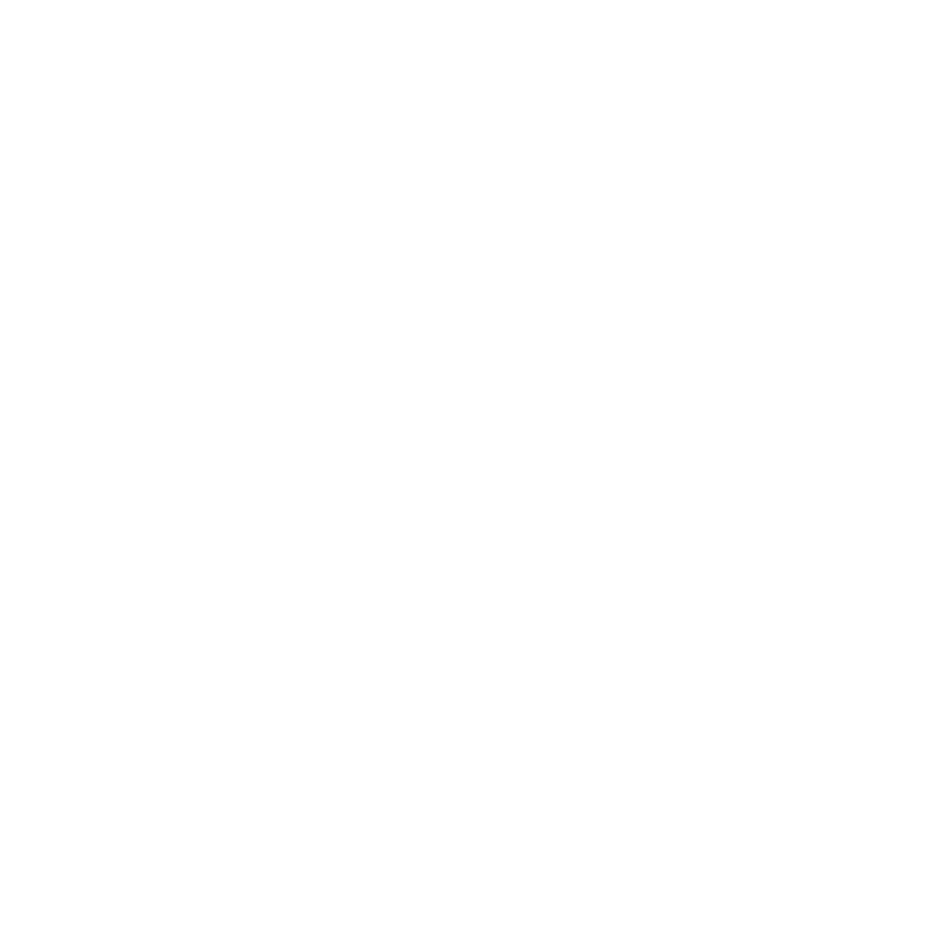 El Ranquel