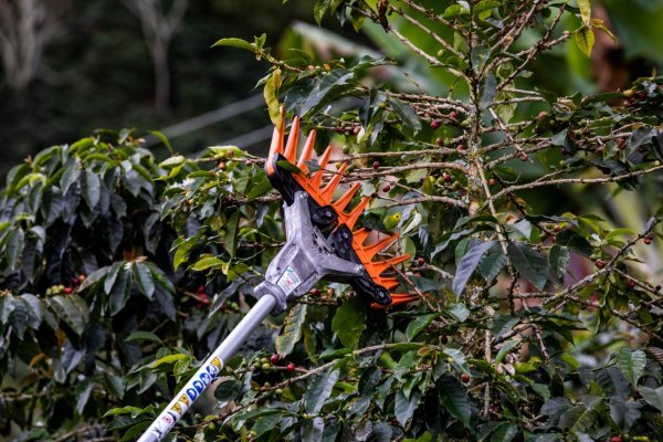 COSECHADOR DE OLIVOS STIHL KA 85 R SP 